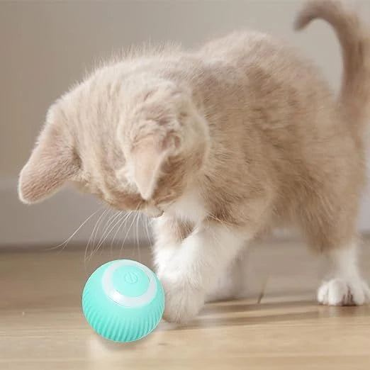 Brinquedo Interativo Inteligente para Pets - Bola Automática com Carregamento USB